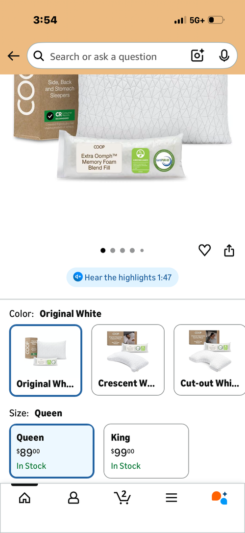 Coop adjustable queen pillow